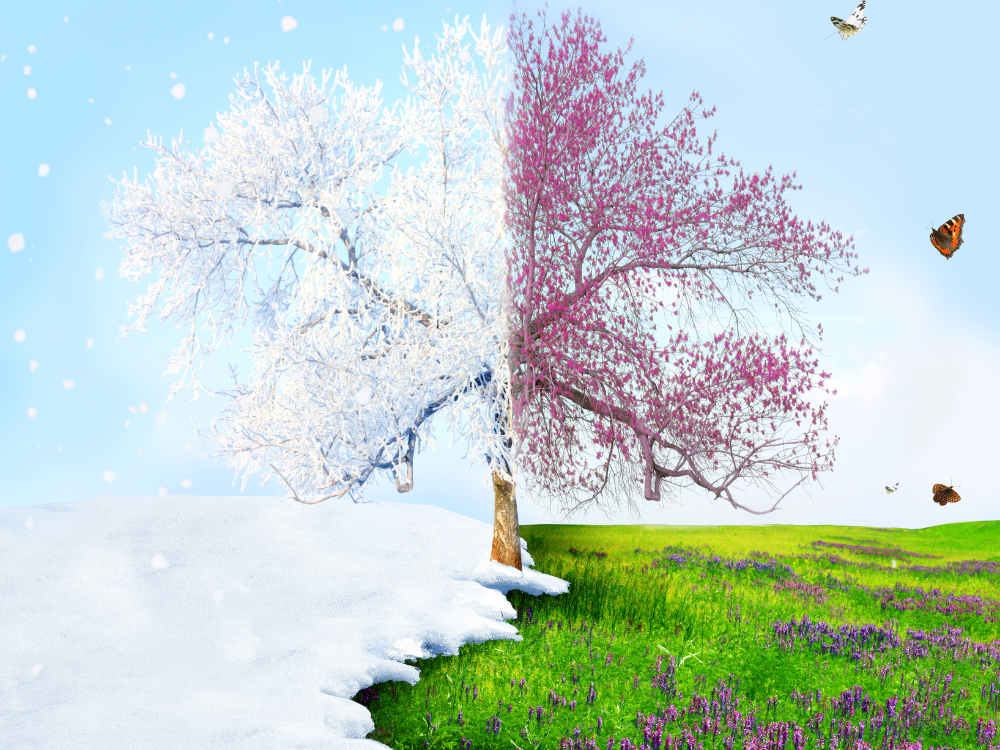 Seasons change
