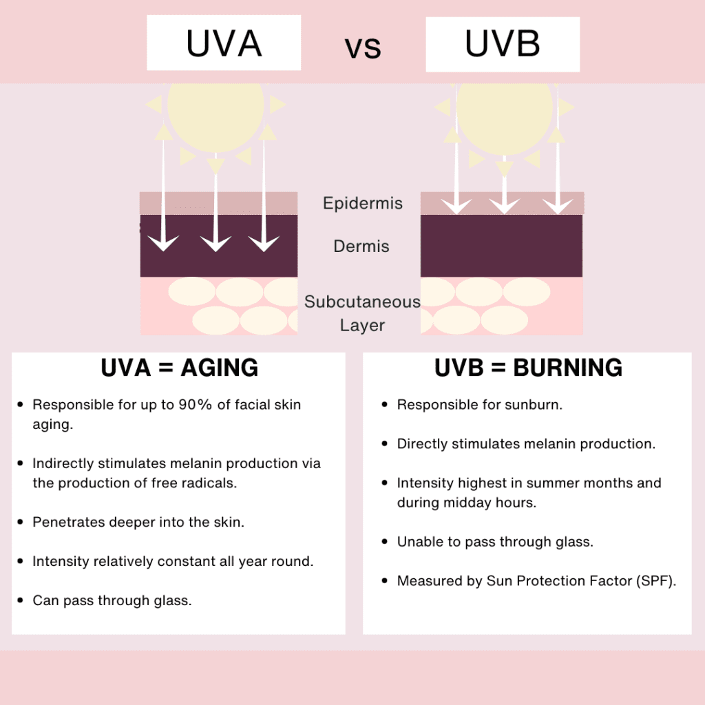 The image illustrates a comparison between UVA and UVB rays and their effects on the skin. UVA rays are linked to aging because they can penetrate deep into the skin and may lead to signs of aging by indirectly triggering melanin production through free radicals. They are a constant presence all year round and can even move through glass. UVB rays, however, are the main cause of sunburn. They directly cause melanin production in the skin and are most intense during summer and the middle of the day. UVB rays cannot penetrate through glass and their impact on the skin is what SPF (Sun Protection Factor) measures to protect against.